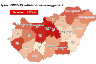 NINCS HALOTT, 6 ÚJ FERTŐZÖTTET REGISZTRÁLTAK! Pest megyében 1 új beteg