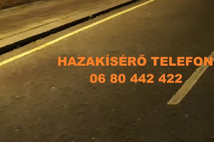 EGY ZSENIÁLIS ÖTLET: Ha gondban vagy éjszaka az utcán, hívd a Hazakísérő Telefont Érdről is