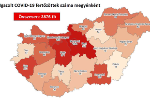 2-EN HALTAK MEG, 10 ALATT AZ ÚJ FERTŐZÖTTEK SZÁMA! Érden is fellélegezhetünk?