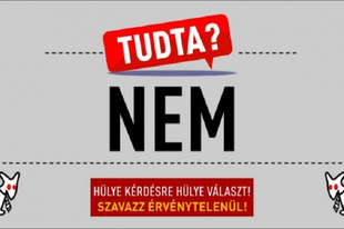 AKIK HIVATALOSAN HÜLYÉT CSINÁLTAK ARADSZKIÉKBÓL: Európai bíróság védte meg a Kétfarkúakat