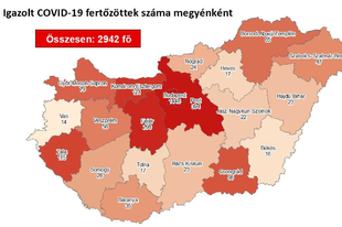 ÚJABB 14 ÚJ FERTŐZÖTT PEST MEGYÉBEN! Egyelőre még a helyzet miatt jobb,ha maradnak a korlátok