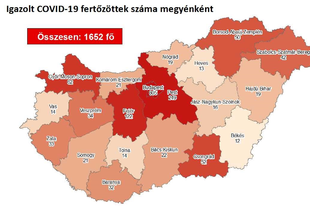 RENDÜLETLENÜL EMELKEDIK A FERTŐZÖTTEK SZÁMA A MEGYÉNKBEN! Most 15 fővel