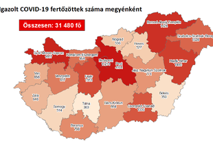 KORONAVÍRUS NAPI: 11 halott, 905 új fertőzött! A statisztikák szerint kevesebb a súlyos eset