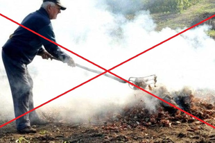 JÖVŐ ÉVTŐL MINDENHOL TILOS A KERTI HULLADÉK ÉGETÉSE! Helyben sem bújhatnak ki alóla