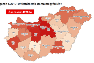 2 HALOTT, 10 ÚJ FERTŐZÖTT! Pest megye  nem áll jól: 4 új fertőzött a mérleg