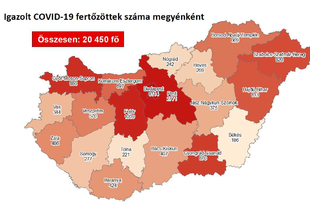 15 EZER FELETT A FERTŐZÖTTEK SZÁMA, 8 HALOTT! Több, mint ötszázan kórházban
