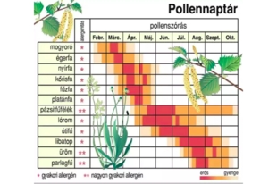 Allergiás? Készüljön! Itt a pollennaptár, hogy felkészülhessen rá Érden is!