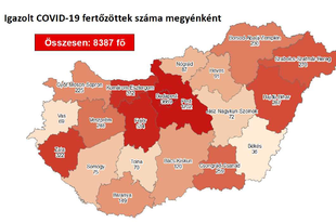 MÁRA FÉLEZER ÚJABB KORONAVÍRUSOS, NINCS HALOTT: Pest megyében 55 új beteg