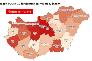 ÉRDI A CSODA KORONAVÍRUS FRONTON?! Nálunk 4 új beteg, országosan csak 1!