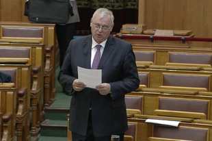 KIAKADT AZ ÉRDI FRAKCIÓVEZETŐ: Lengyel Péter helyretette Aradszki “Mameluk” Bandit