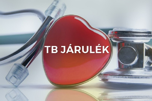 DÖNTÖTTEK: jön az egységes tb-járulék Érden is, aki nem fizet, pórul jár