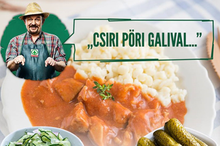 IDIÓTA SPAR-REKLÁM: Ön venne Érdcsin csiri pörit galival és koviubival?