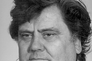 ELHUNYT DOMONKOS BÉLA, AZ ÉRDI “SZÉPCSINÁLÓ”