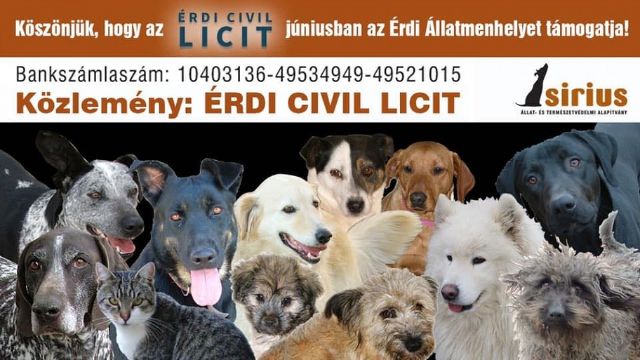 civil_licit_sirius_200601.jpg