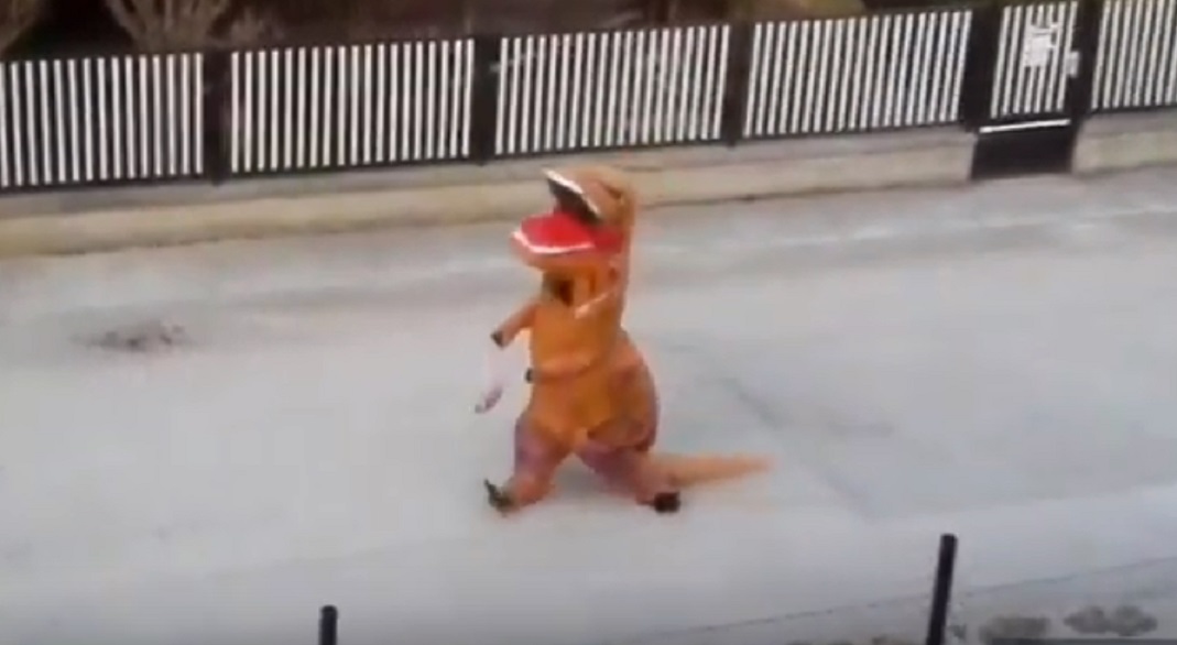 dino.jpg