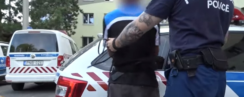 bardos_csavo.jpg