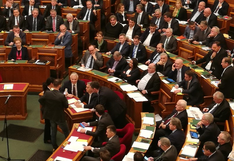 parli.jpg