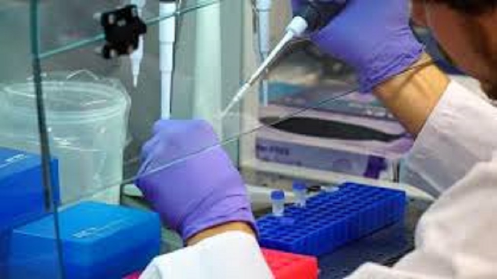 pcr_teszt.jpg