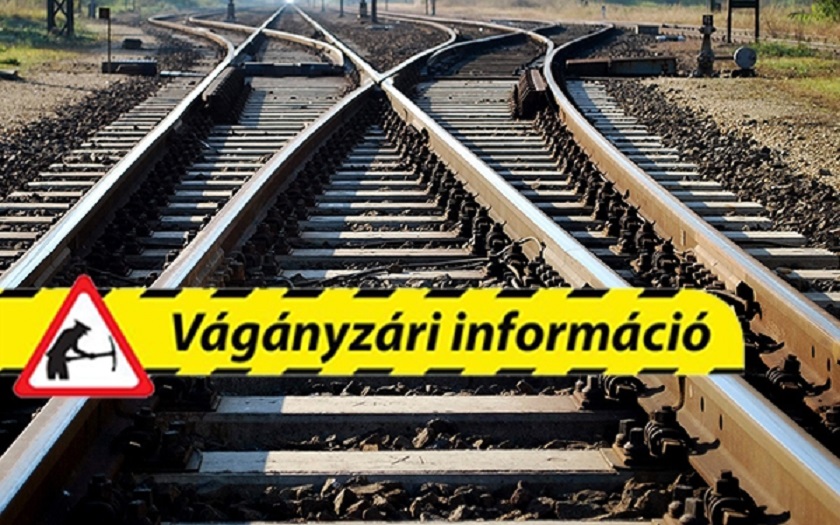 vaganyzar.jpg