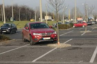 HOGY HÍVNÁK EZT A GYŐRI PARKOLÓMŰVÉSZT? Szerintünk Ő a nagyteljesítményű természetvédő