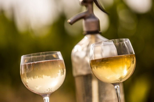 GYŐRI FRÖCCSNAPOK idén is a Rotary szervezésében