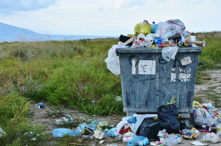 GYŐR A SZEMÉT VAGY A SZEMÉT SZEMETELŐK VÁROSA? Szedjük már össze magunkat