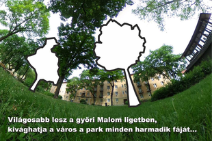 FAKIVÁGÁS OKA: LEGYEN VILÁGOSSÁG GYŐRBEN! Kivágják a Malom-liget 24 fáját