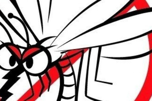 KEDDTŐL a szúnyogoknak annyi! Győrben akkor kezdődik a központi szúnyogirtás, vajon Borkaiék mikor kezdik a helyi szúnyogirtást?