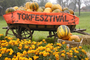 TÖKÖSÖK, TÖKETLENEK, TÖKKELÜTÖTTEK ÉS EGYÉB TÖKÖK! Ne tököljetek, tök jó buli lesz a börcsi Tökfesztivál