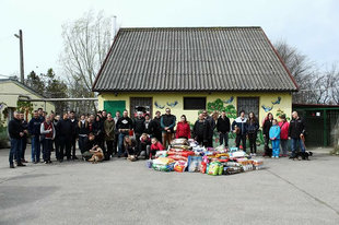 BMW-sek is gyűjtöttek a Győri Állatmenhelynek