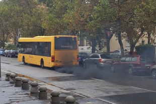 AMÍG GYŐRI SZEXCELEB POLGINK AZ ADRIÁN! Nektek jók ezek a kohószökevények is!