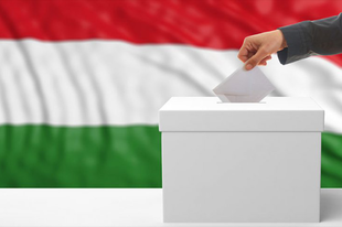 Kíváncsi rá, hogyan áll a  választás részvételi aránya Győrben? Kövesse velünk az eseményeket. (FOLYAMATOSAN FRISSÜL)