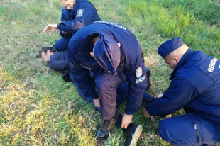 ITT A MORÁL VÉGE: Saját apját késelte meg férfi Győr környékén