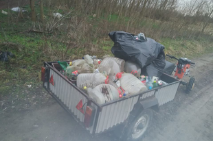 Önkéntesek tisztítják meg a szeméttől a győrszentiváni erdőt! Legyen ez egy mozgalom kezdete