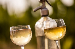 GYŐRI FRÖCCSNAPOK JÚLIUS 26. ÉS 28. KÖZÖTT - zsíroskenyér is lesz!