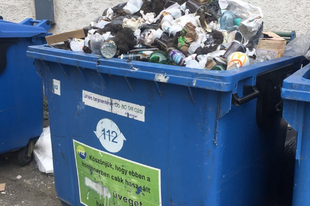 KEMÉNYEN LECSAPOTT GYŐRBEN A HULLADÉKKOMMANDÓ! Hajat és szakállat dobott a szelektívbe