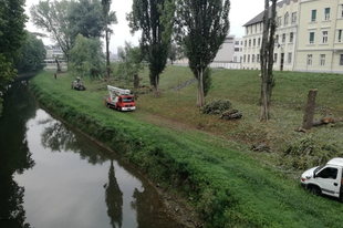 MEGINT FAGYILKOSOK GYŐRBEN! Hogy kapnának napszúrást!