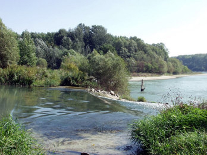 natur.jpg