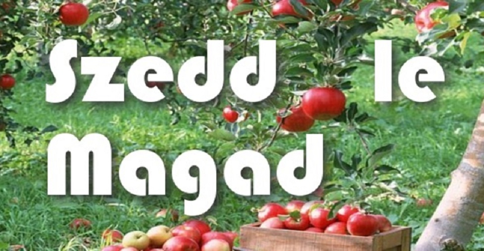 szeddlemagad-hu-szedd-magad-mozgalom.jpg