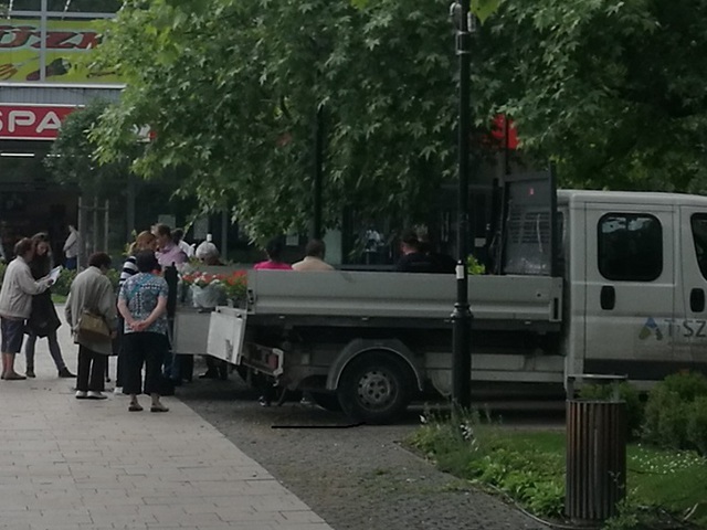 ÚJRA MUSKÁTLIT OSZTOGAT A POLGI TATABÁNYÁN! Ha egyéb kérdése van, menjen oda hozzá, biztosan válaszolni fog rá