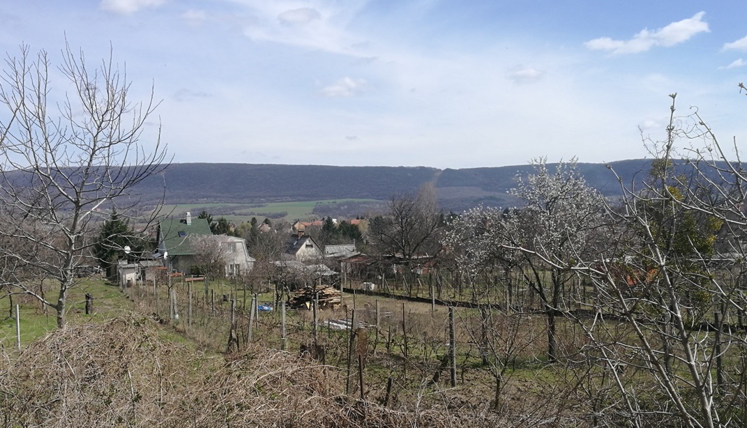 barompanorama.jpg
