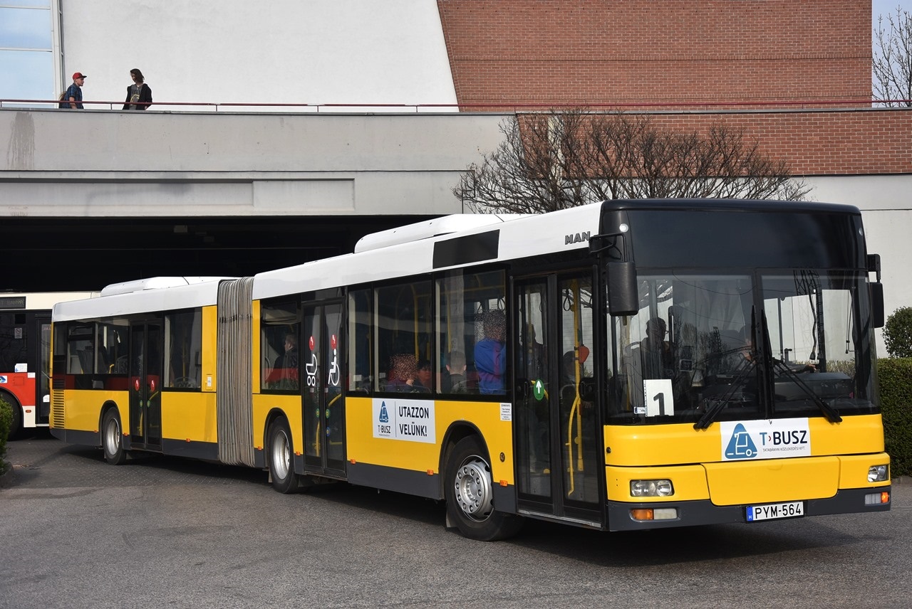 ILYEN BUSZOK CSAK TATABÁNYÁN VANNAK! Lassan befejezik a pályafutásukat