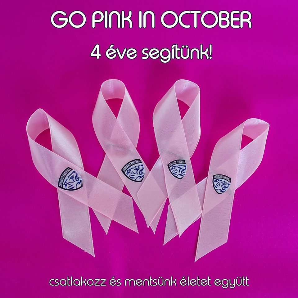 ISMÉT SEGÍTENEK A TATABÁNYAI KÉK TIGRISEK! Adománygyűjtést szerveznek októberben
