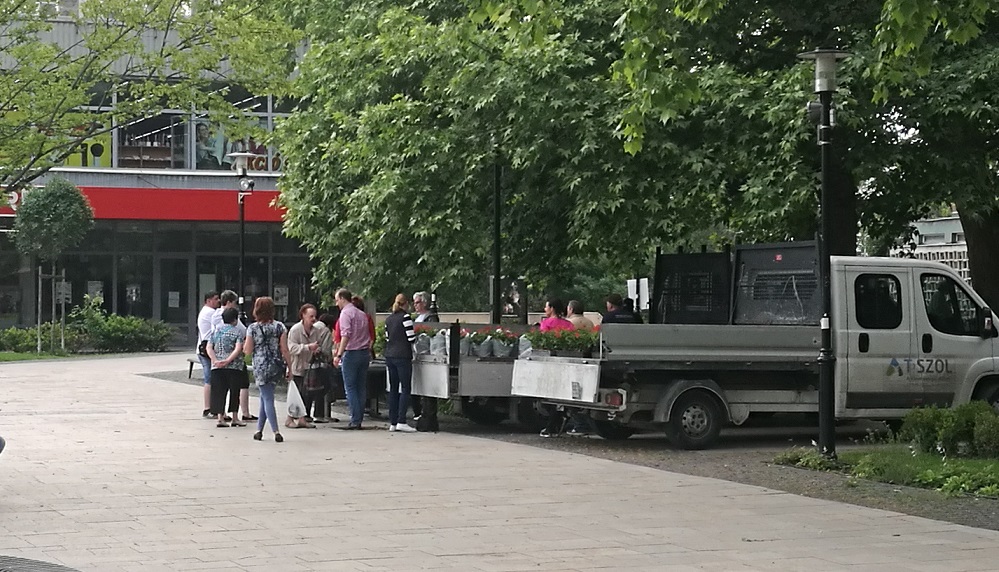 SZUPER JÓ FEJ IS LEHETNE EZ A SCHMIDT CSABA: Muskátlikat oszthatna a népnek! Mondjuk a saját zsebéből!