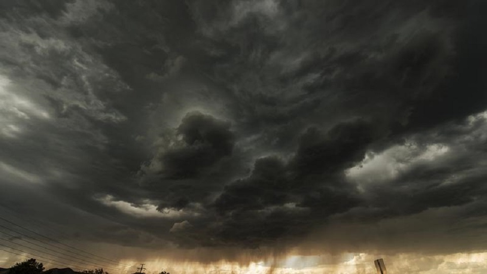 vihar.jpg