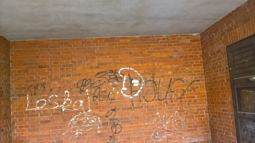 bmegallo1.jpg