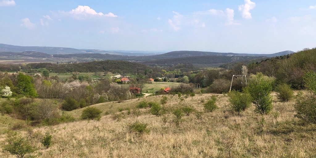 csakanysi1.jpg