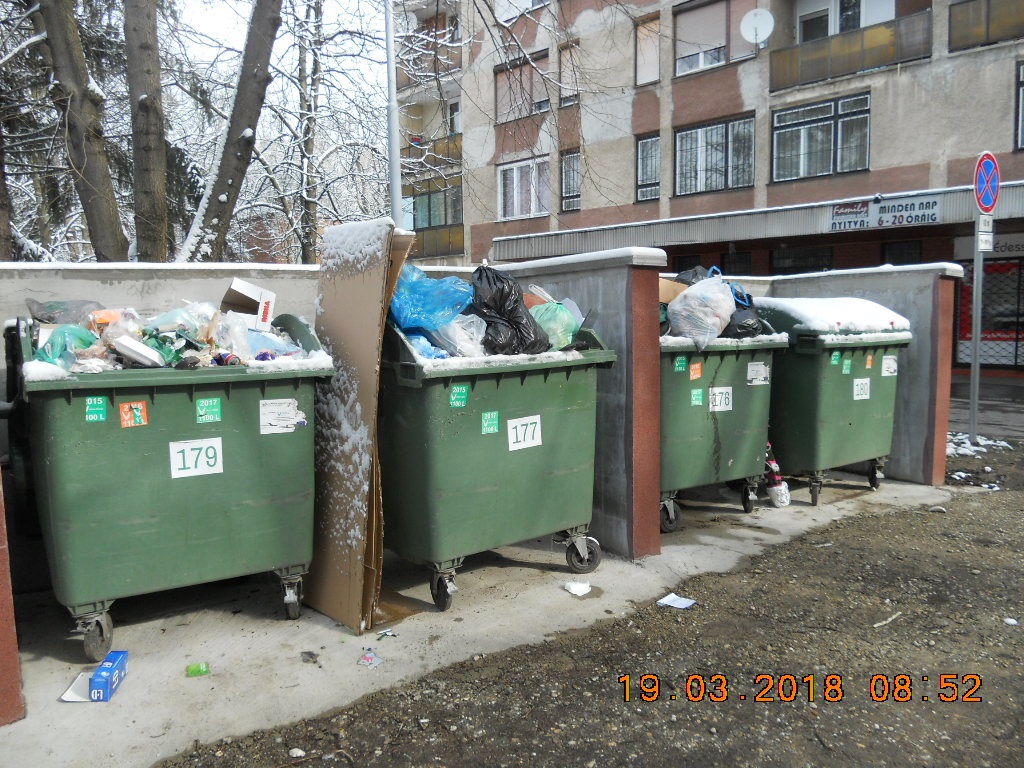 ÚJ TÍPUSÚ EDZŐI MENTALITÁS TATABÁNYÁN! Tanítványokkal vitetik az illegális hulladékot