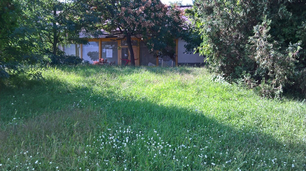 dmbutik.jpg