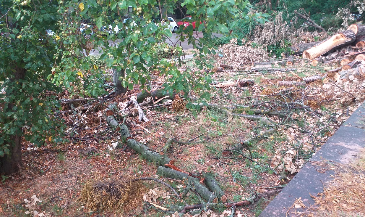 fakivagasutan-komaromiut-rendorsgnel-20210711_06.jpg